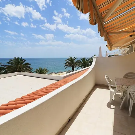 Venha Nadar A Oura *