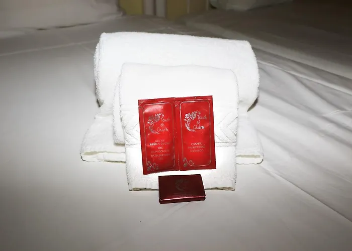 Venha Nadar A Oura Daire *