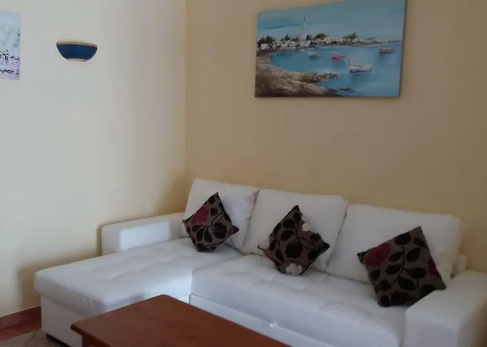 Venha Nadar A Oura Daire *